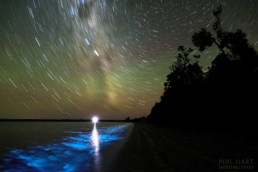BioluminescenceMW_PhilHart1024.jpg