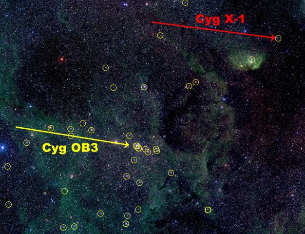 CygX1_mirabel_labc2.jpg