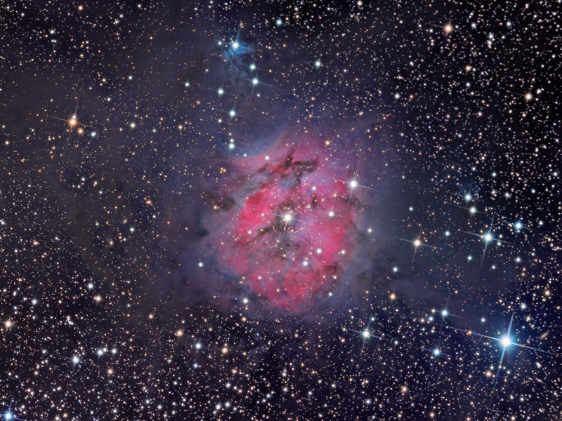 IC5146_fleming_c800.jpg