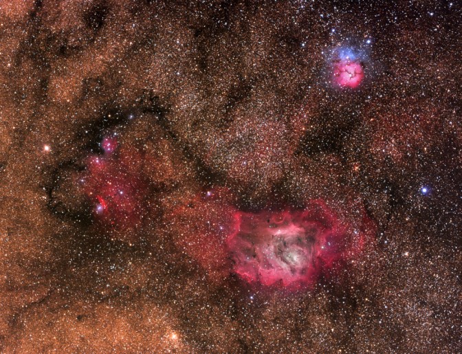 LagoonTrifid_mazlinmisti_c65.jpg