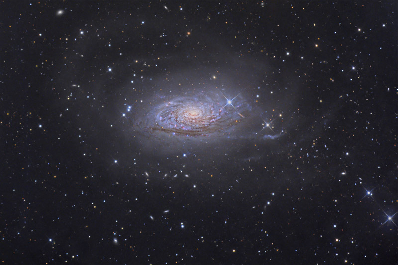 M63LRGB_hallas_800.jpg