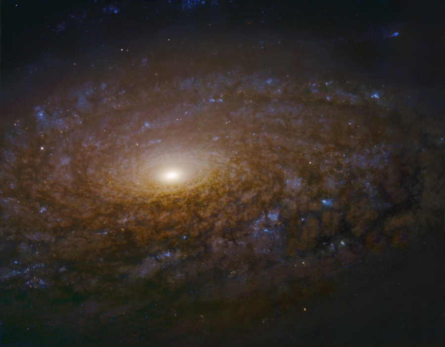 NGC3521_hstGendler900c.jpg