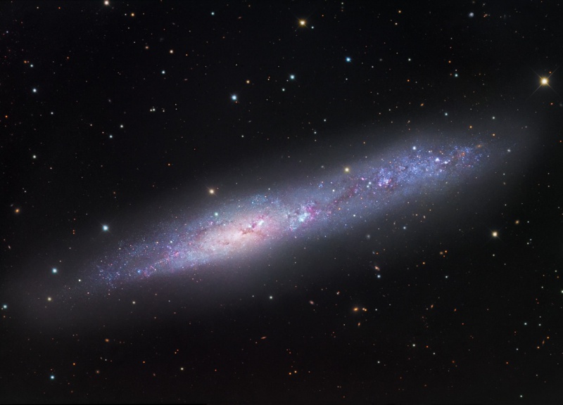 NGC55_gendler_c800.jpg