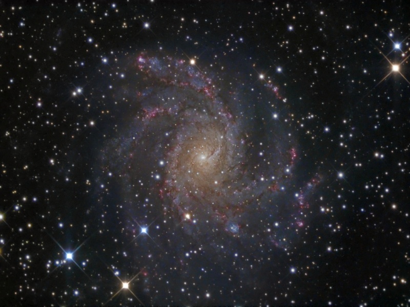 NGC6946_2008wendel800.jpg