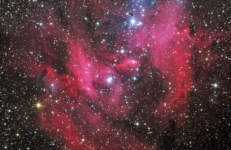 ic2948_crouch800.jpg