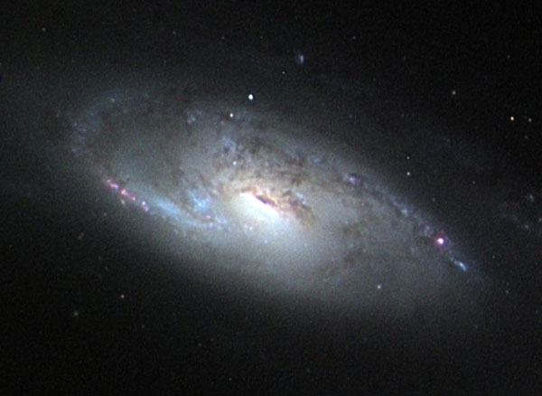 m106_sharer.jpg