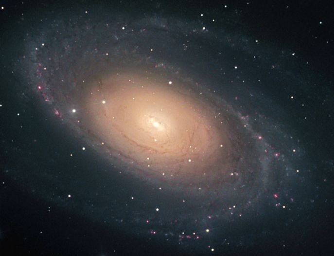 m81_gendler_c1.jpg