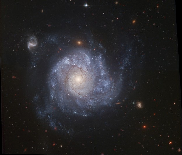ngc1309friends_hst_c52.jpg