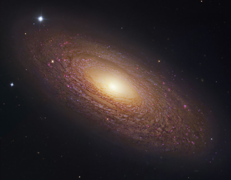 ngc2841_hstsubarugendler_960.jpg