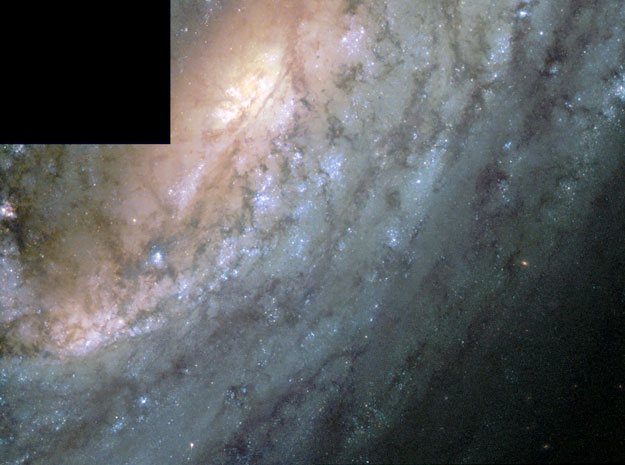 ngc2903_hst.jpg