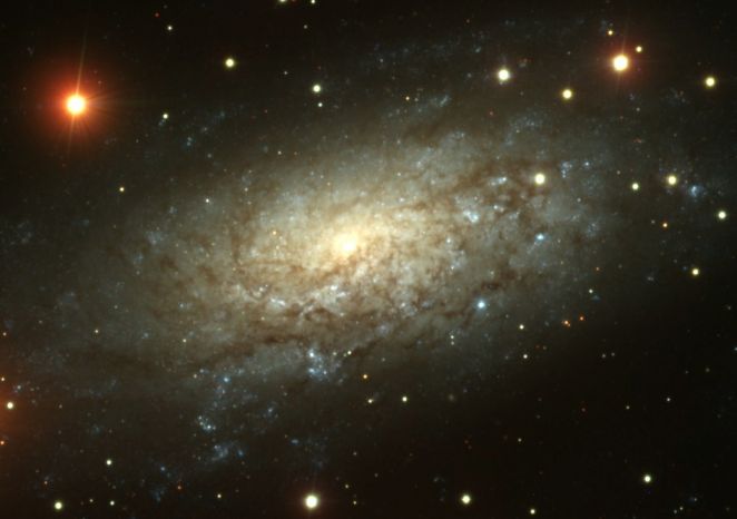 ngc3621_bresolin_c2.jpg
