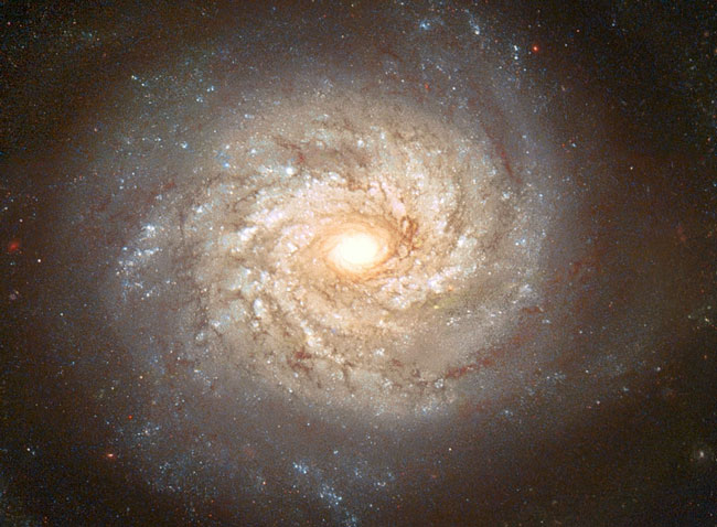 ngc3982_hst.jpg