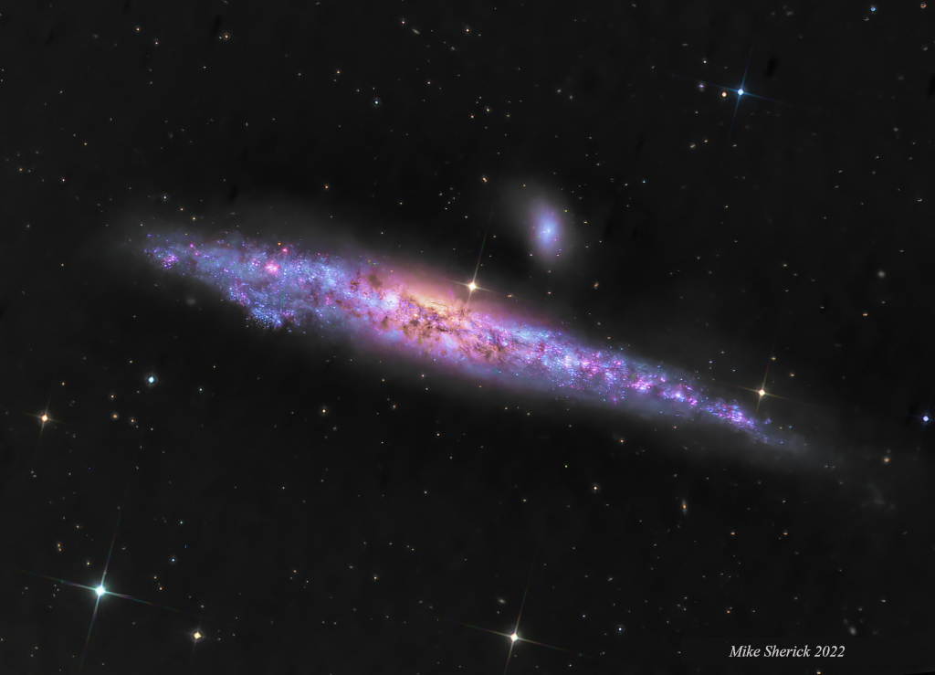 ngc4631_sherick1024.jpg