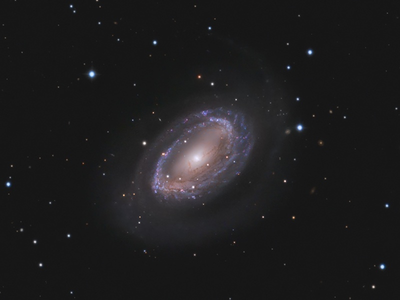 ngc4725L_siniscalchi_c800.jpg
